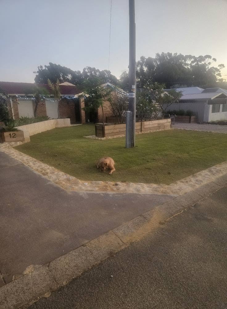 Corner block lawn