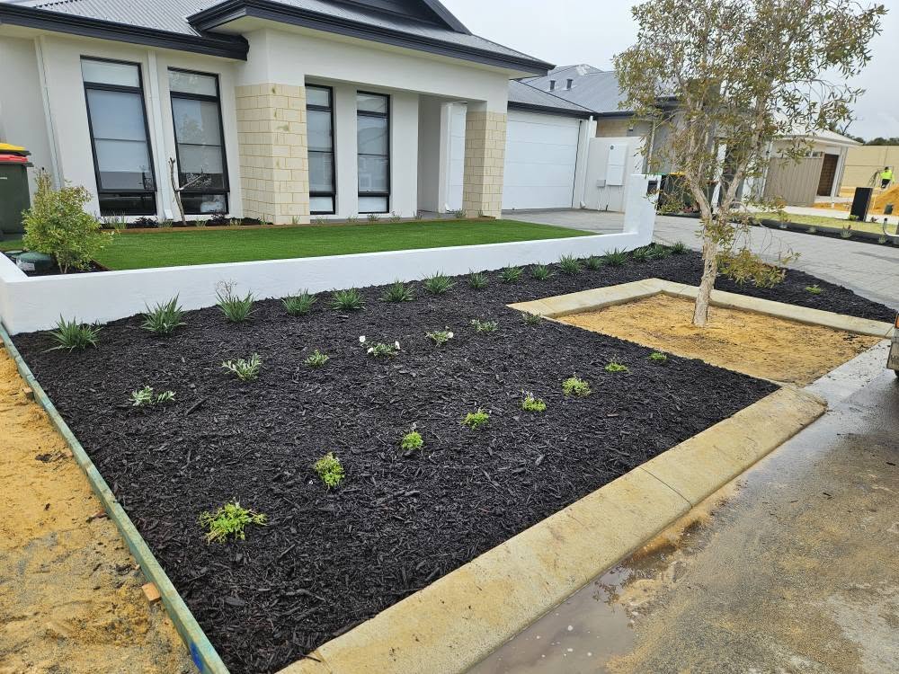 Front yard makeover