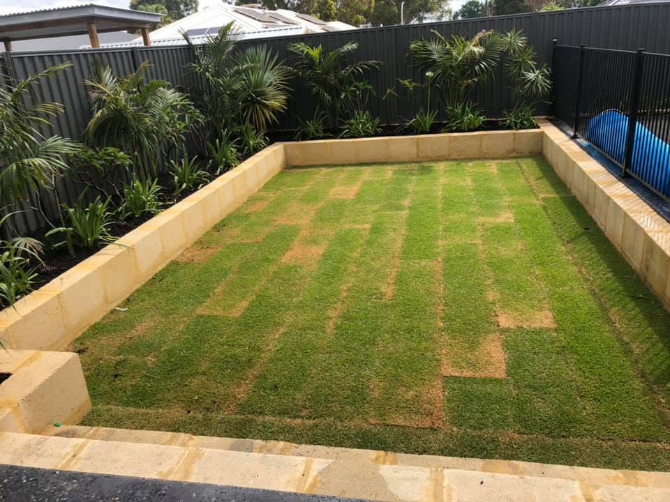 New turf and block wall